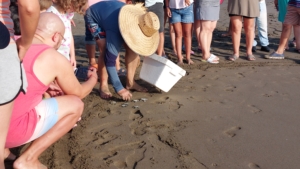 Martin unterstützt die Liberacion de las tortugas