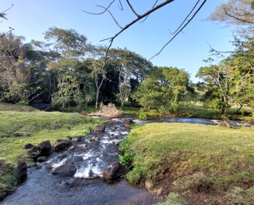 La Palma, Catemaco