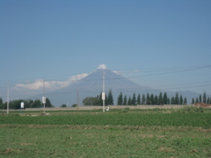 Nachbar 