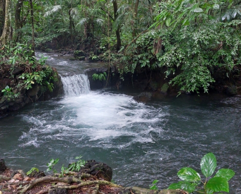 Minicascada in La Palma