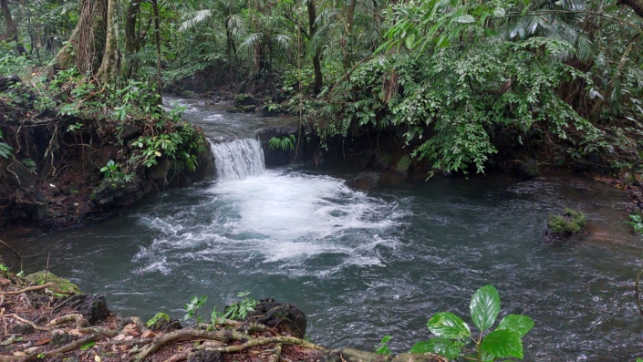 Minicascada in La Palma