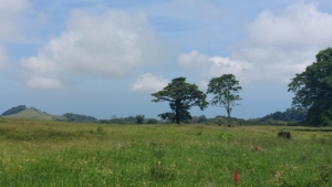 Tour San Martin nach Montepío
