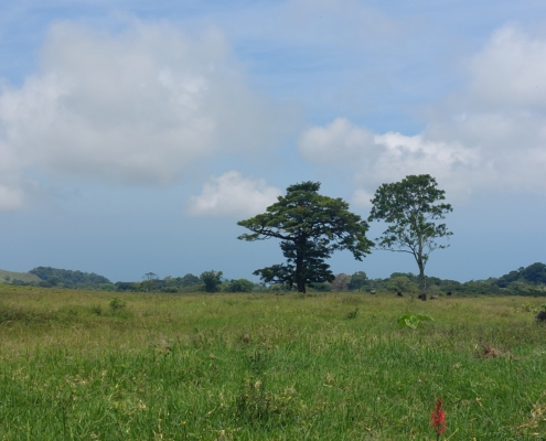 Tour San Martin nach Montepío