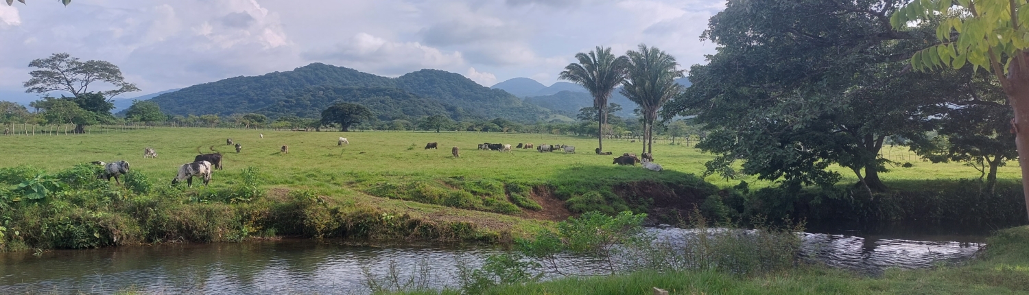Los Tuxtlas: Traumhafte Idylle