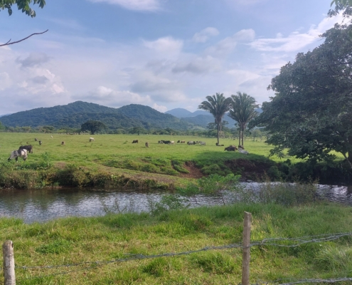 Los Tuxtlas: Traumhafte Idylle