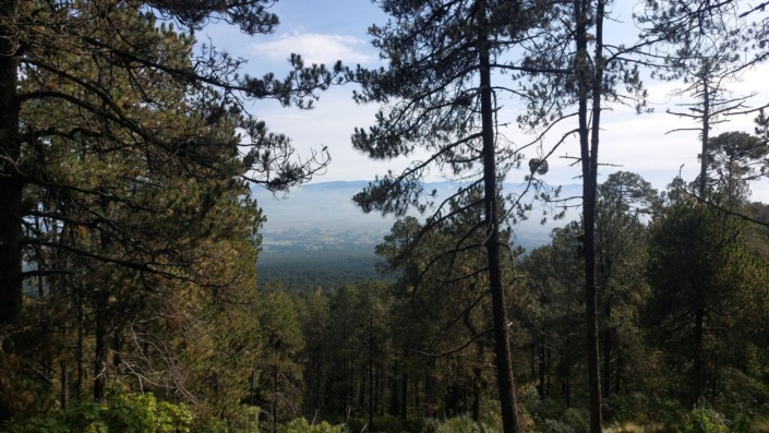Blick ins Tal Blick ins Tal