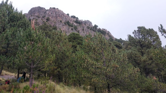 Gipfel der Malinche Gipfel der Malinche