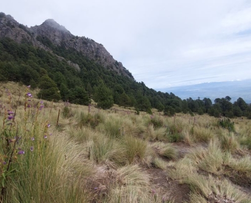 Gipfel der Malinche