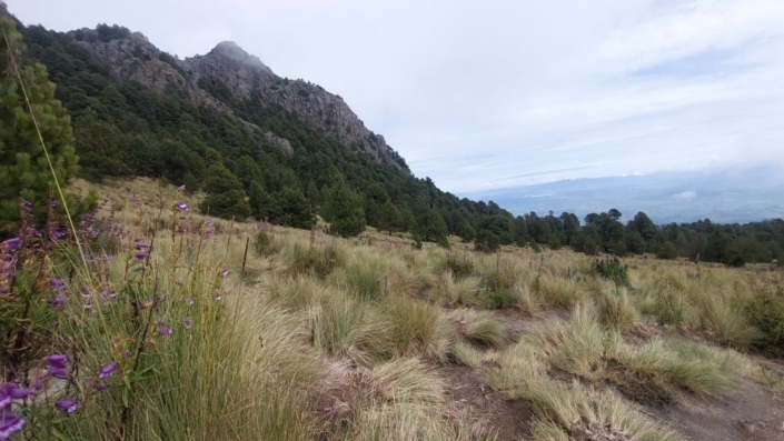 Gipfel der Malinche Gipfel der Malinche
