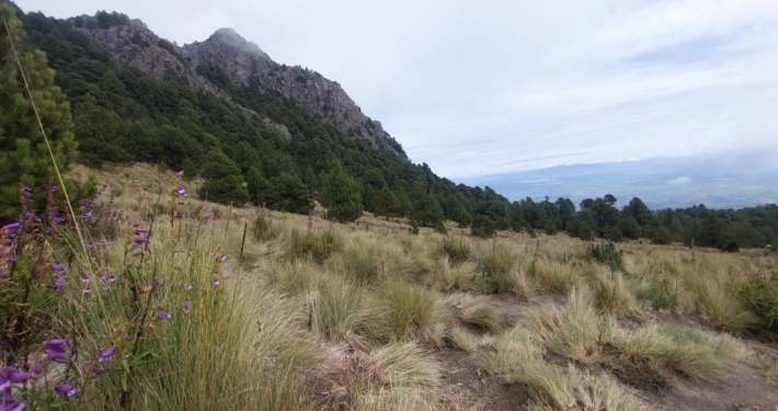 Gipfel der Malinche