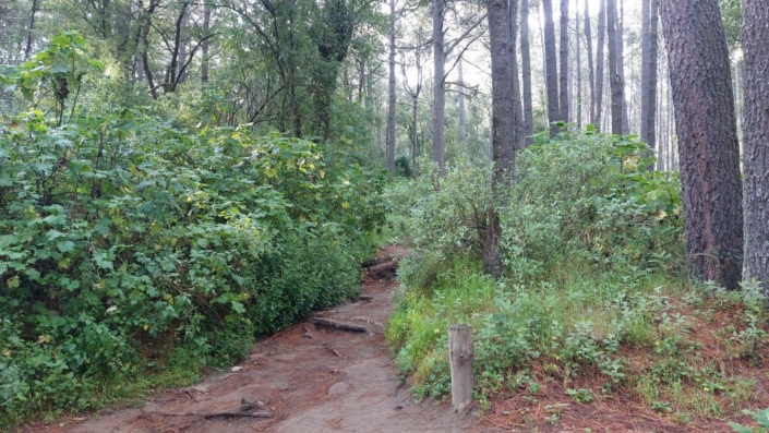 Wanderpfad der Malinche Wanderpfad der Malinche