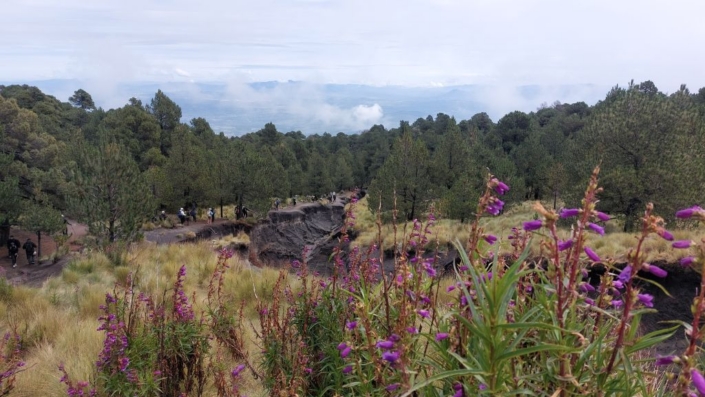 Lichtung auf dem Gipfel der Malinche Lichtung auf dem Gipfel der Malinche